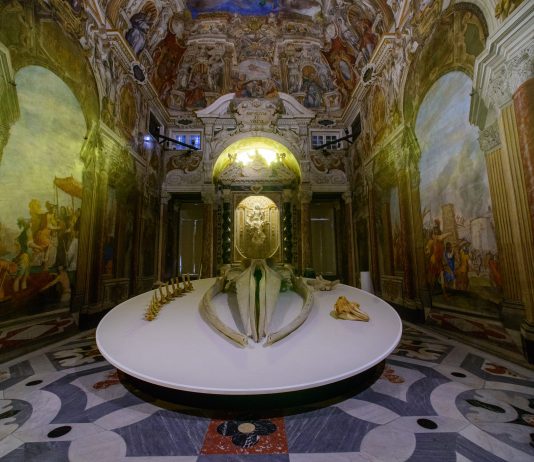 Moby Dick: dall’antichità a oggi, il mito della balena viene esplorato in una mostra a Genova Moby Dick