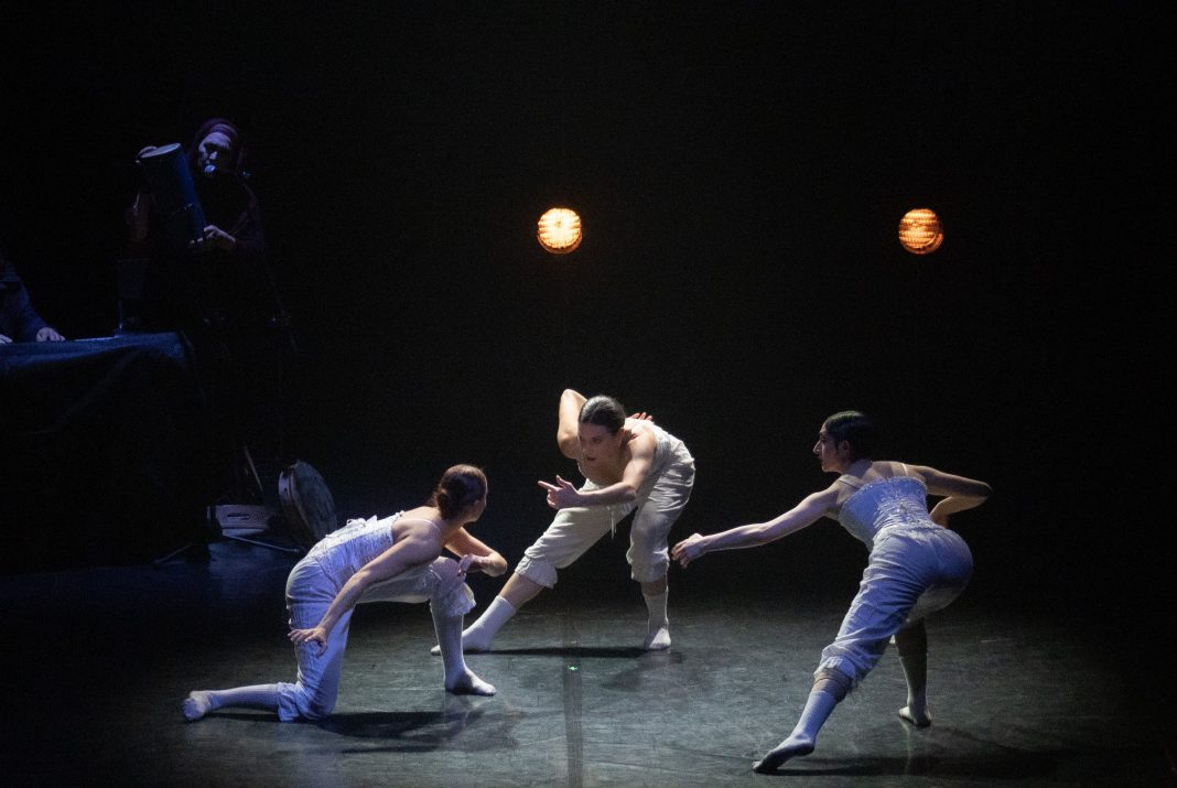 Mors - ResExstensa - Picasphoto 1