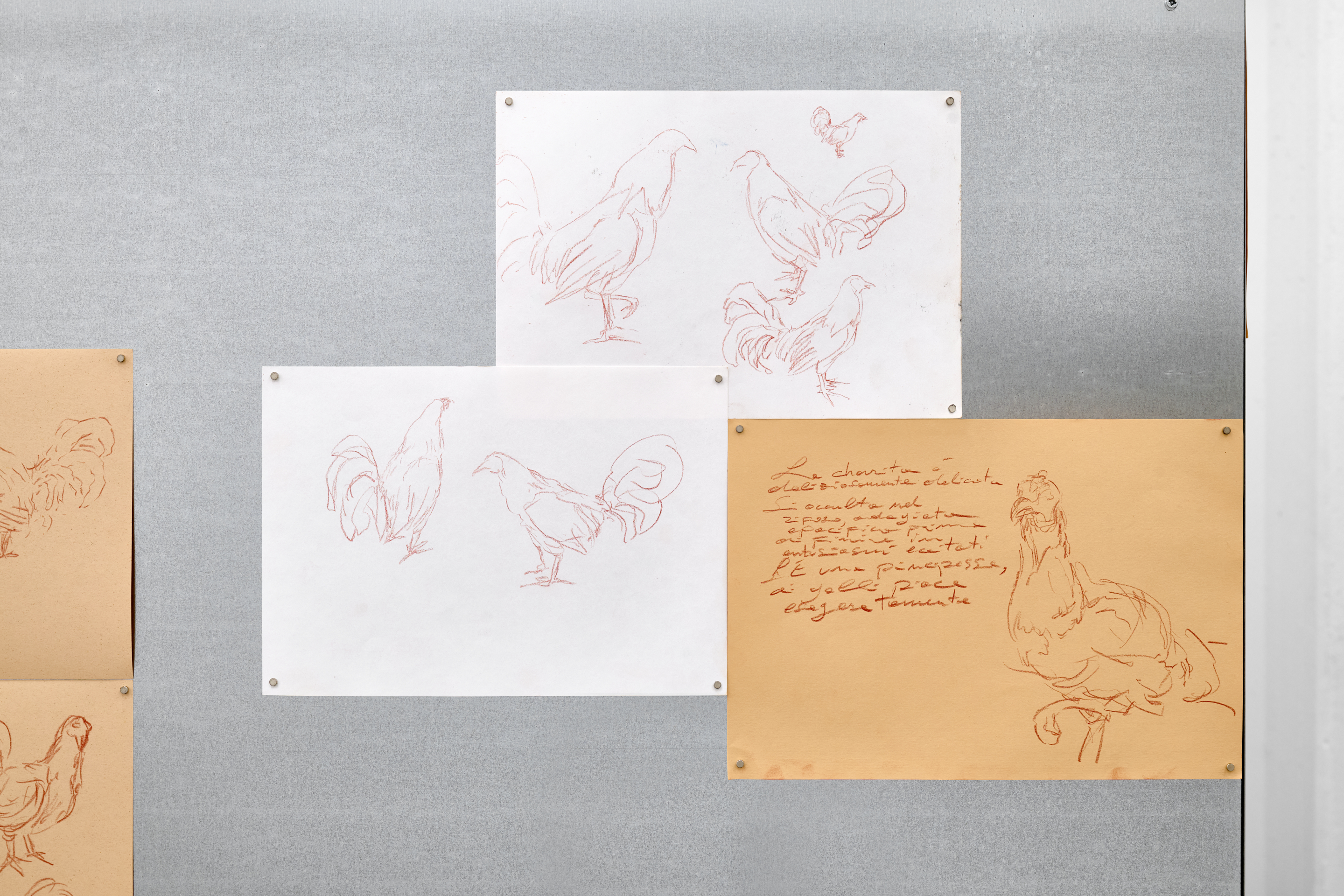 Pietro Fachini, Gallística, solo exhibition da ArtNoble Gallery, Installation View. Courtesy ArtNoble Gallery. Ph. credit Michela Pedranti