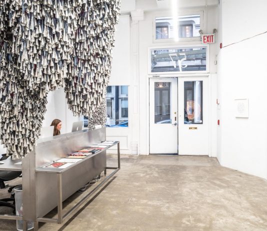 Autunno d’arte a New York: cinque mostre da non perdere a SoHo