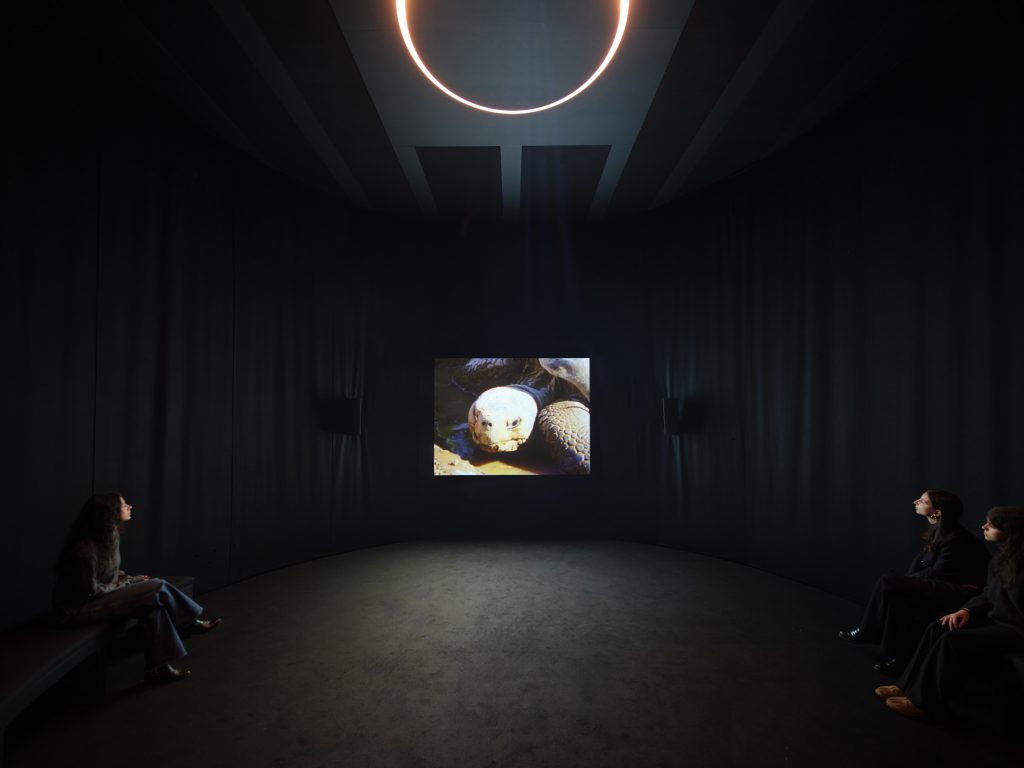 nan goldin hangar bicocca