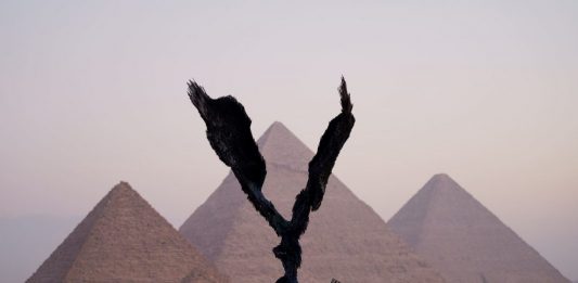 Arte contemporanea tra le piramidi: intervista a Nadine Abdel Ghaffar, fondatrice di Art D’Égypte