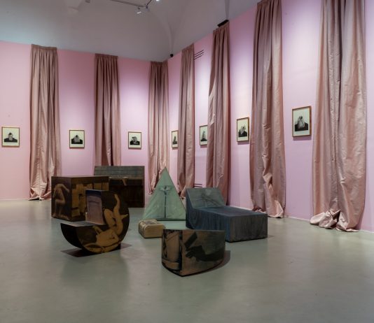 Helen Chadwick, l’artista punk al Museo Novecento di Firenze chadwick