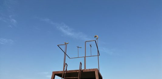 Planeta Buonivini: la tenuta nel siracusano diventata un parco d’arte planeta buonvini