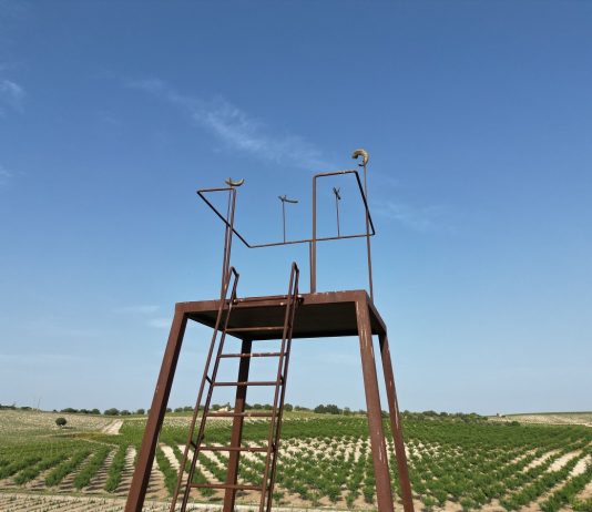 Planeta Buonivini: la tenuta nel siracusano diventata un parco d’arte