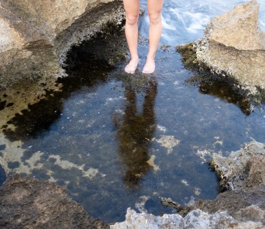 Il fragile equilibrio delle immagini ai tempi dell’IA. La mostra della galleria Viasaterna di Milano