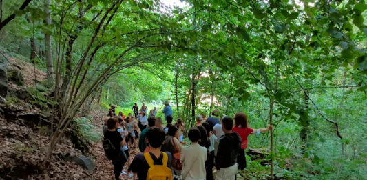 Una camminata performativa di 250 chilometri aspettando le Olimpiadi invernali