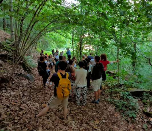 Una camminata performativa di 250 chilometri aspettando le Olimpiadi invernali