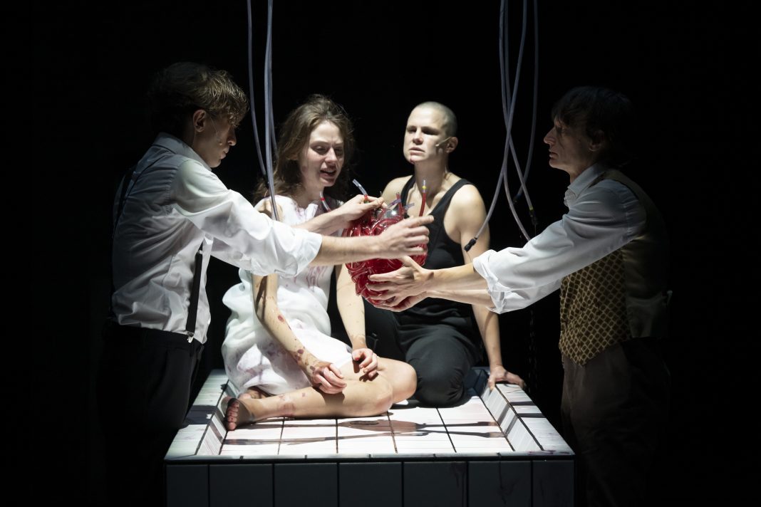 1 TPE Dracula - De Rosa - phandreamacchia _DSC9570