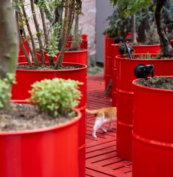 Ancora problemi per la Biennale di Istanbul, che chiude in anticipo