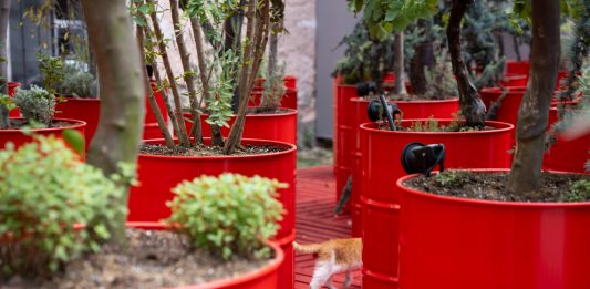 Ancora problemi per la Biennale di Istanbul, che chiude in anticipo 18ma Biennale di Istanbul, ph. Fatih Yılmaz