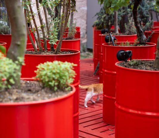 Ancora problemi per la Biennale di Istanbul, che chiude in anticipo 18ma Biennale di Istanbul, ph. Fatih Yılmaz