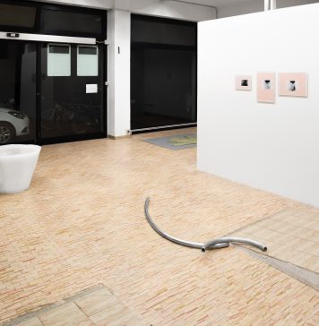 Difetto di reciprocità: Nicola Bizzarri e Andrea Di Lorenzo in mostra allo Spazio TORRSO di Pesaro