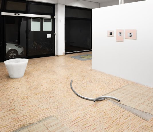 Difetto di reciprocità: Nicola Bizzarri e Andrea Di Lorenzo in mostra allo Spazio TORRSO di Pesaro