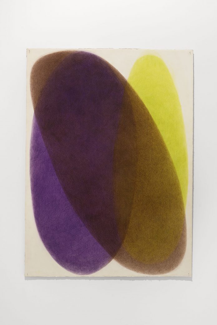 Another Look - Installation view - Margarita Gluzberg - Samotsvet 5 (2025)- Photo_ Roberto Apa