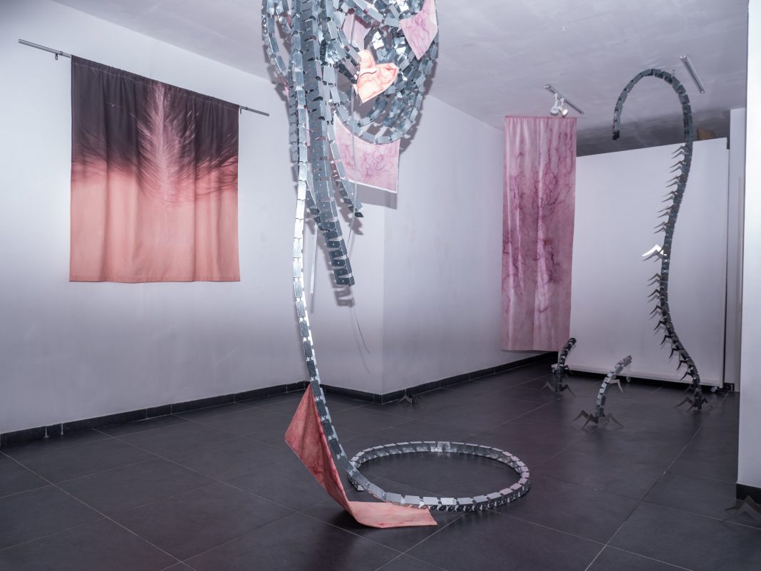 Emanuela Moretti, A screen has no edges, veduta della mostra, Studio Orma, Roma