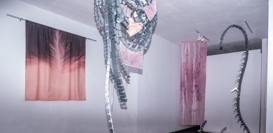 Studio Orma è il nuovo spazio di Roma dedicato agli artisti under 30 Emanuela Moretti, A screen has no edges, veduta della mostra, Studio Orma, Roma