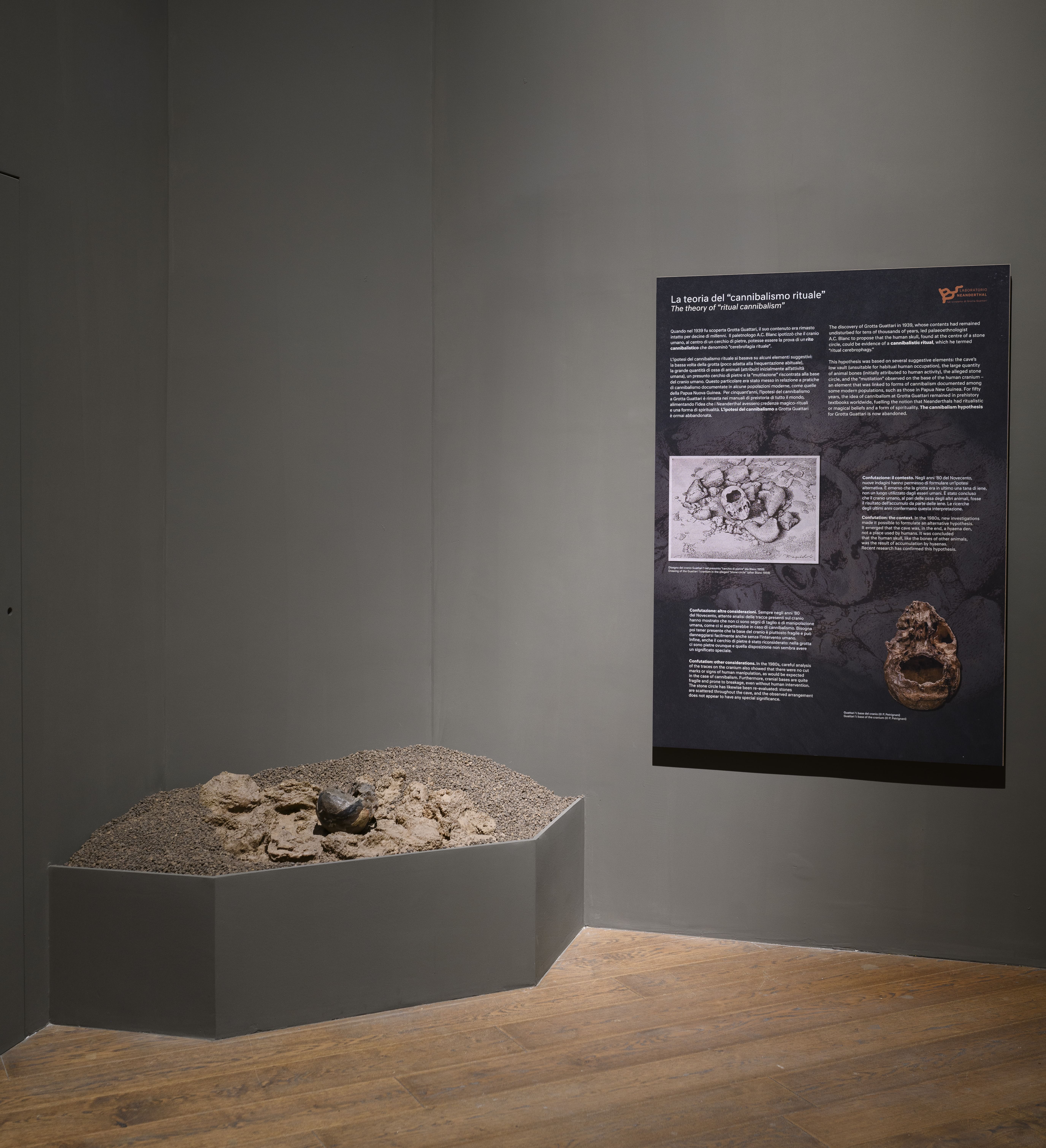 Installation view LABORATORIO NEANDERTHAL. Le scoperte di Grotta Guattari, MUCIV- Museo delle Civiltà, Roma. Foto Giorgio Benni