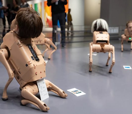 Cani-robot e opere oversize: dentro le due anomalie di Art Basel Miami Beach