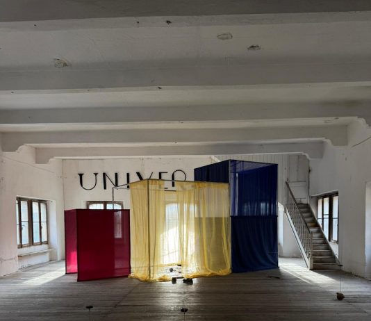 A Universo Factory, il collettivo BOW ridisegna lo spazio come organismo vivo