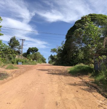 Nel prossimo film di Sergio Racanati, l’Amazzonia sarà un soggetto politico