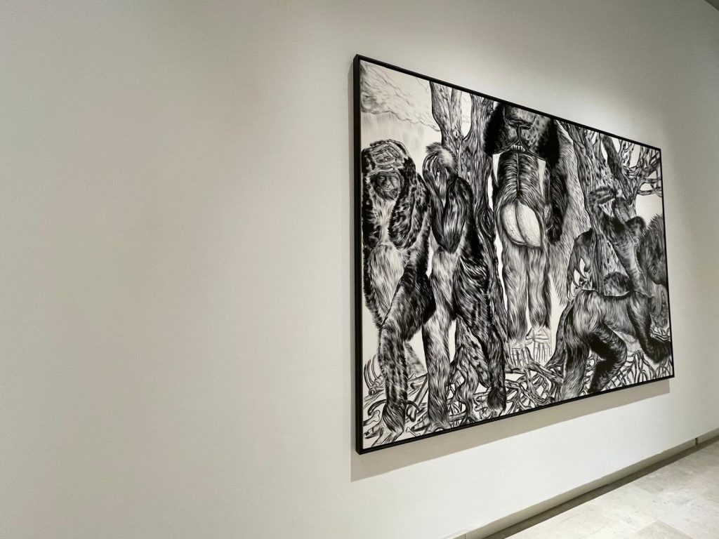 Luca Gioacchino Di Bernardo, veduta della mostra, 18ma Quadriennale di Roma