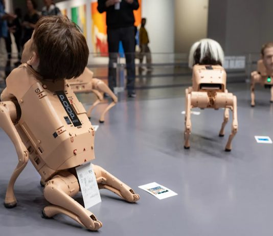 Cani-robot e opere oversize: dentro le due anomalie di Art Basel Miami Beach art basel miami