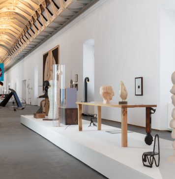 La discontinuità come fattore di trasformazione. Le metamorfosi di Enrico David al Castello di Rivoli