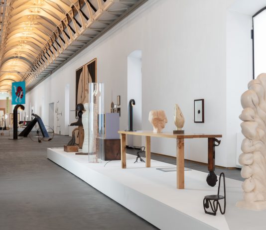 La discontinuità come fattore di trasformazione. Le metamorfosi di Enrico David al Castello di Rivoli enrico david