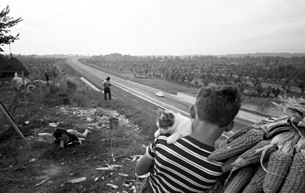 di paolo paolo di paolo