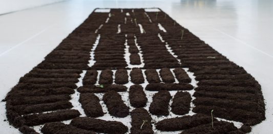 Terra, semi e intrecci: le geografie politiche dell’artista Binta Diaw in mostra al PAV di Torino binta diaw