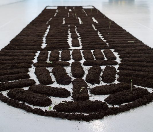 Terra, semi e intrecci: le geografie politiche dell’artista Binta Diaw in mostra al PAV di Torino binta diaw