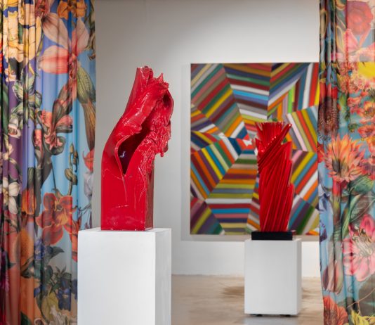 Il colore può diventare un simbolo politico? A Roma la mostra che indaga questo tema fondazione d'arc