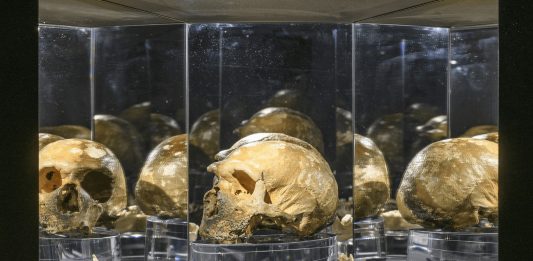 Al MUCIV nasce il Laboratorio Neanderthal: la Grotta Guattari entra nel museo del presente Installation view LABORATORIO NEANDERTHAL. Le scoperte di Grotta Guattari, MUCIV- Museo delle Civiltà, Roma. Foto Giorgio Benni