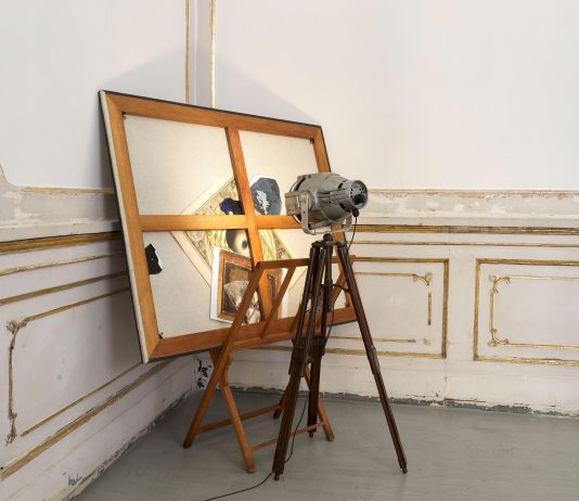 Arte Fiera 2026 apre un nuovo ciclo: annunciate tutte le novità