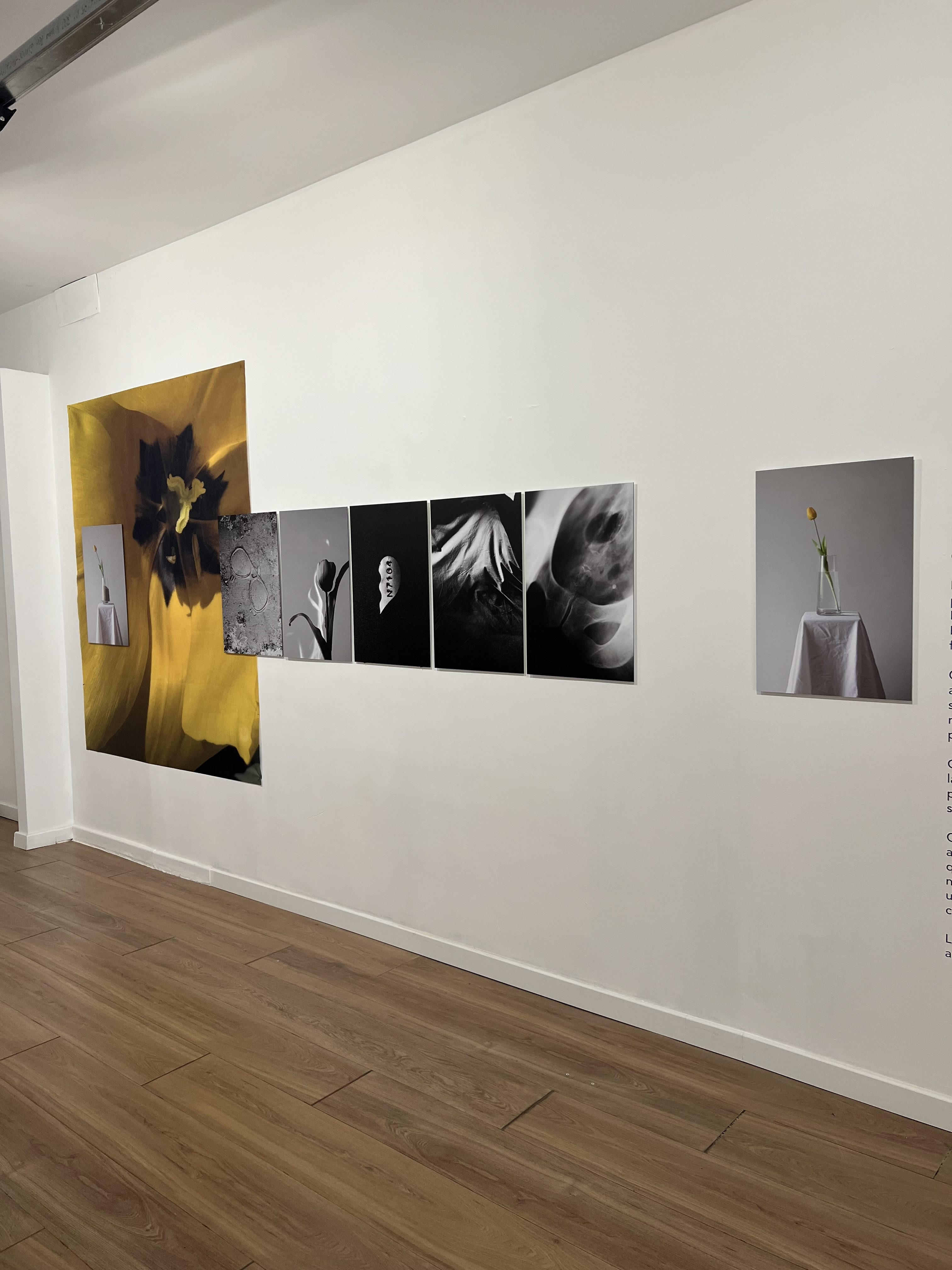 Vuoto Fertile. veduta della mostra per il ciclo Sublime, Campobasso, 2025