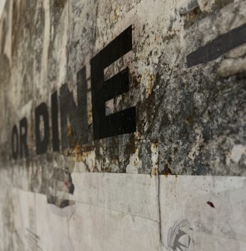 Ricerche artistiche in dialogo, in un ex spazio commerciale di Campobasso