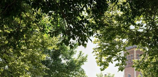 Il Rijksmuseum di Amsterdam avrà un nuovo parco per la scultura contemporanea Il nuovo parco di scultura del Rijksmuseum di Amsterdam, image: Foster + Partners