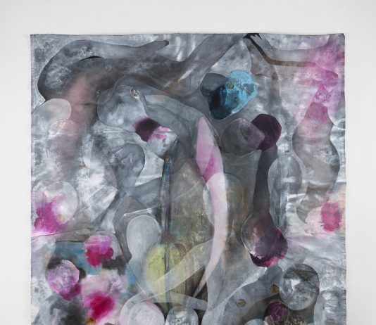 Sette tele di Caterina Silva, per una pittura d’armonia e dispersione