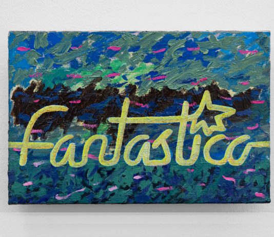 Davide Mancini Zanchi, Quadri a Brescia