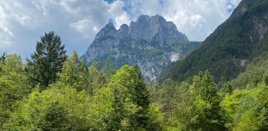 Biennale 2026: il Padiglione Slovenia porterà alla luce una storia nascosta