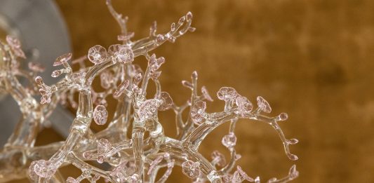 Murano Illumina il Mondo: il linguaggio del vetro in Piazza San Marco