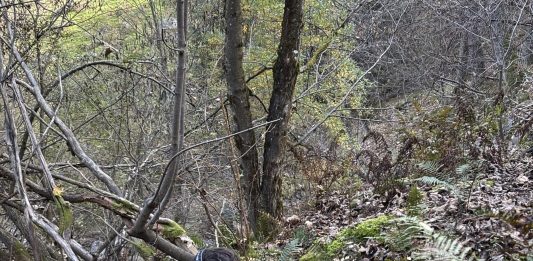 Yuval Avital traduce le voci e i suoni della Valtellina in materia d’arte Yuval Avital valtellina