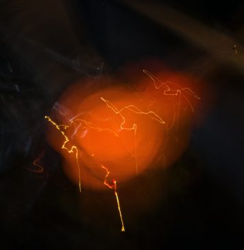 SpazioC21 ad Arte Fiera Bologna: Paolo Pellegrin ed EGS, tra immagine e materia