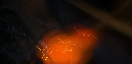 SpazioC21 ad Arte Fiera Bologna: Paolo Pellegrin ed EGS, tra immagine e materia