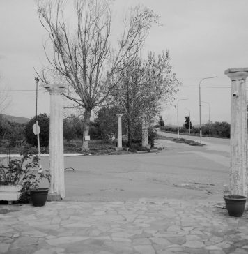 Yorgos Lanthimos cerca la libertà nelle fotografie: la mostra ad Atene