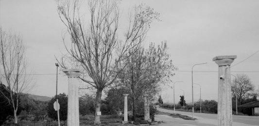 Yorgos Lanthimos cerca la libertà nelle fotografie: la mostra ad Atene Yorgos Lanthimos fotografie