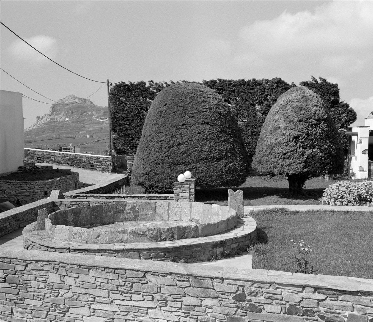 Yorgos Lanthimos fotografie