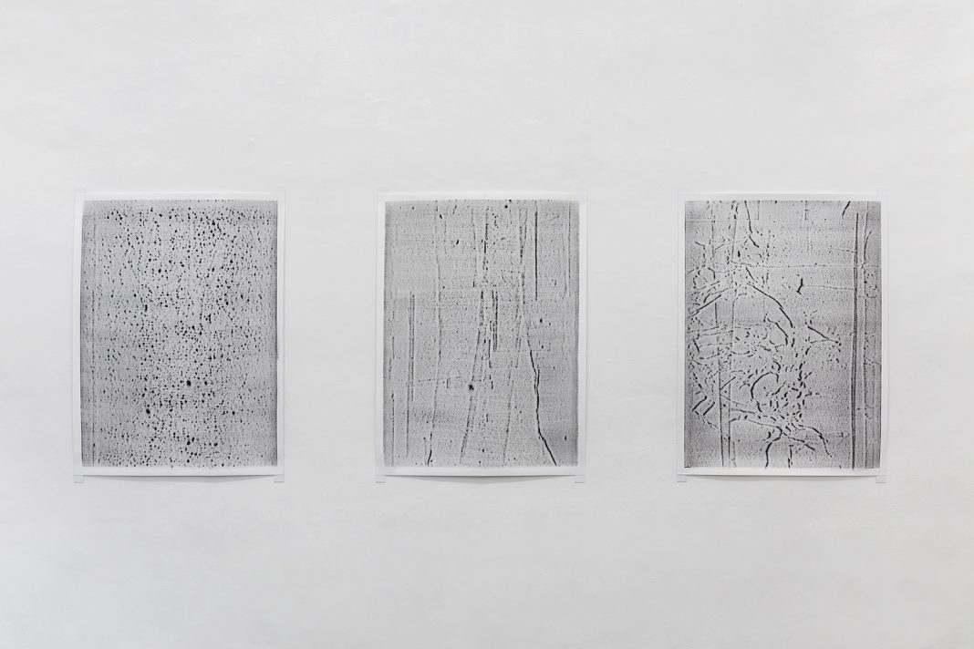 bg QZ RingholtVerso Pictures 011