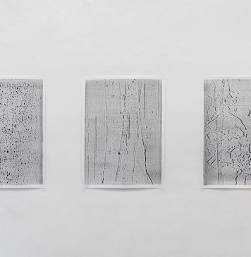 Stuart Ringholt mette in discussione l’immagine e la nostra capacità di leggerla